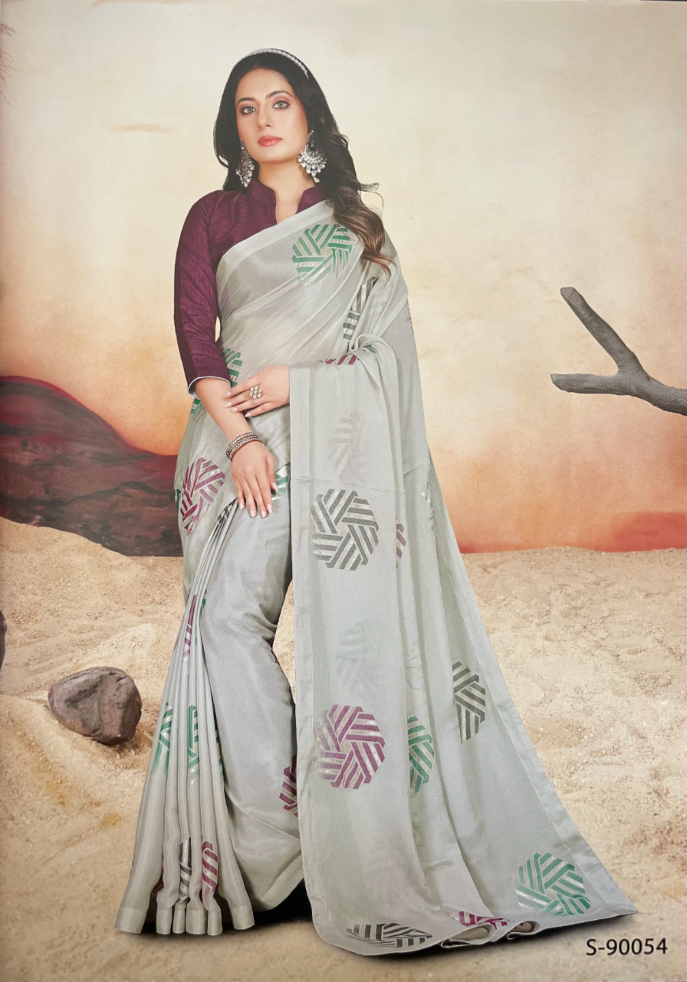 Light Gray Chiffon Brasso Saree with Fancy Pallu